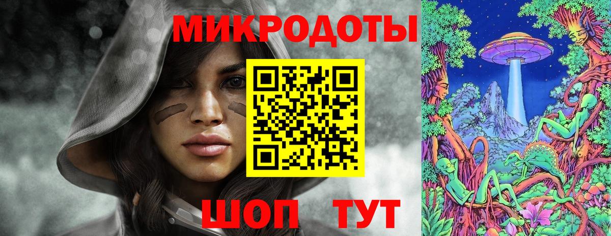 Псилоцибиновые грибы Psilocybine cubensis Богородск